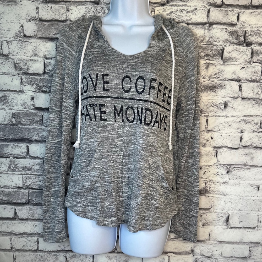 Wish&Whim Grey Thin Hoodie Sweater Size Large